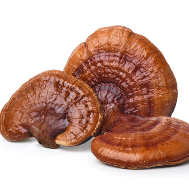 Reishi, 60 kapsler, Vegansk